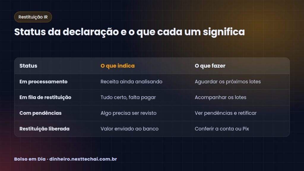 Status da declaração e o que cada um significa